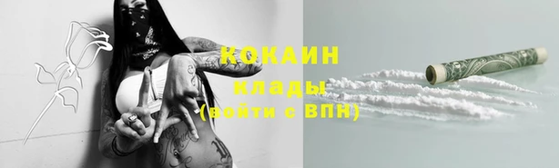 сатива Богородицк