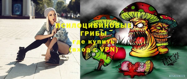 шишки Богданович