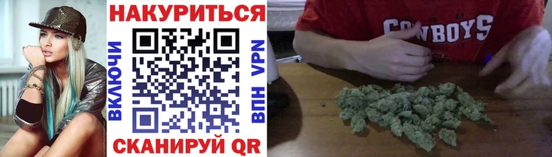 Канабис гибрид  Обь 